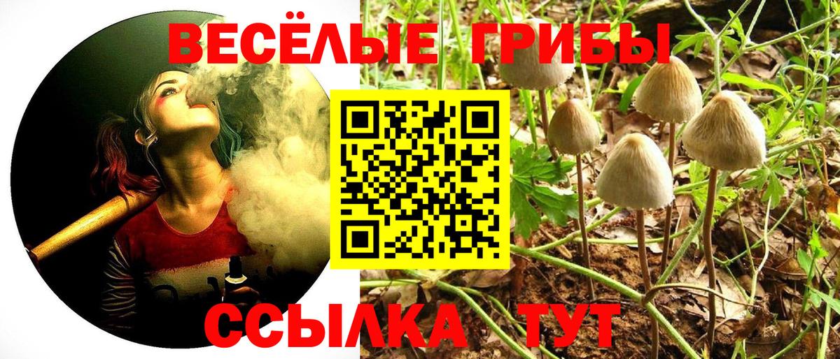 Галлюциногенные грибы ЛСД Тавда