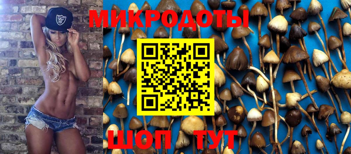 где найти наркотики  Вход с VPN  Тавда  Псилоцибиновые грибы MAGIC MUSHROOMS  Псилоцибиновые грибы Psilocybe 